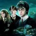 Diffusion TF1 | Harry Potter et la chambre des secrets