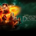 Diffusion TF1 | Les animaux fantastiques : les secrets de Dumbledore