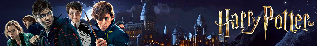 Banni&egrave;re du quartier Harry Potter Universe
